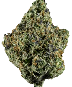 Sluggers Hit 33 Hybrid Flower 3.5g