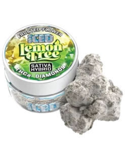 Sluggers Hit ICED Lemon Tree Sativa Jarred Infused Flower 3.5g