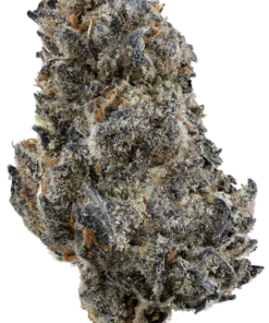 Sluggers Hit Rainbow Road Sativa Flower 3.5g