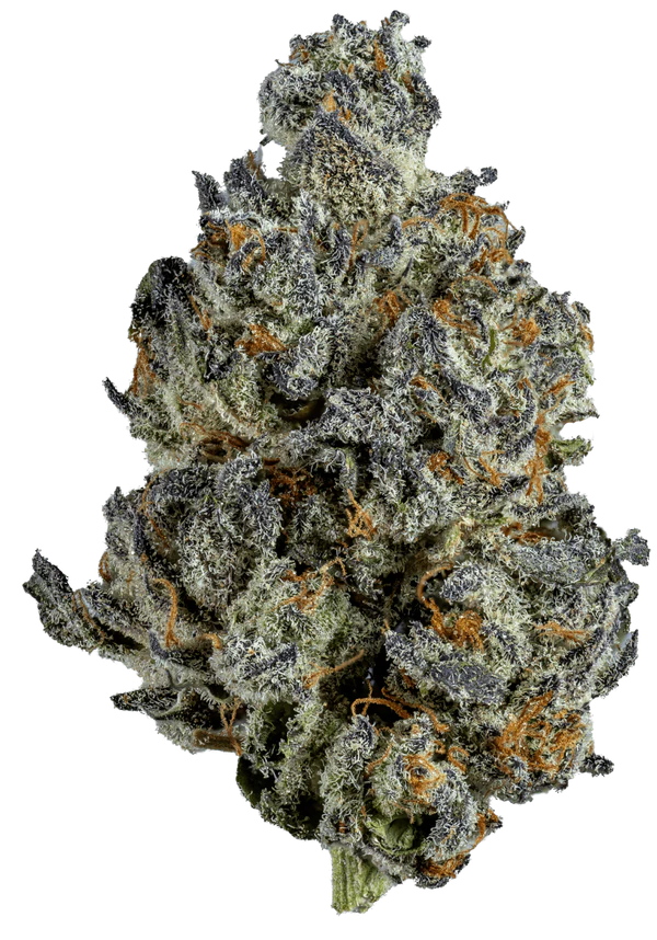 Sluggers Hit UFOreoz Hybrid Flower 3.5g